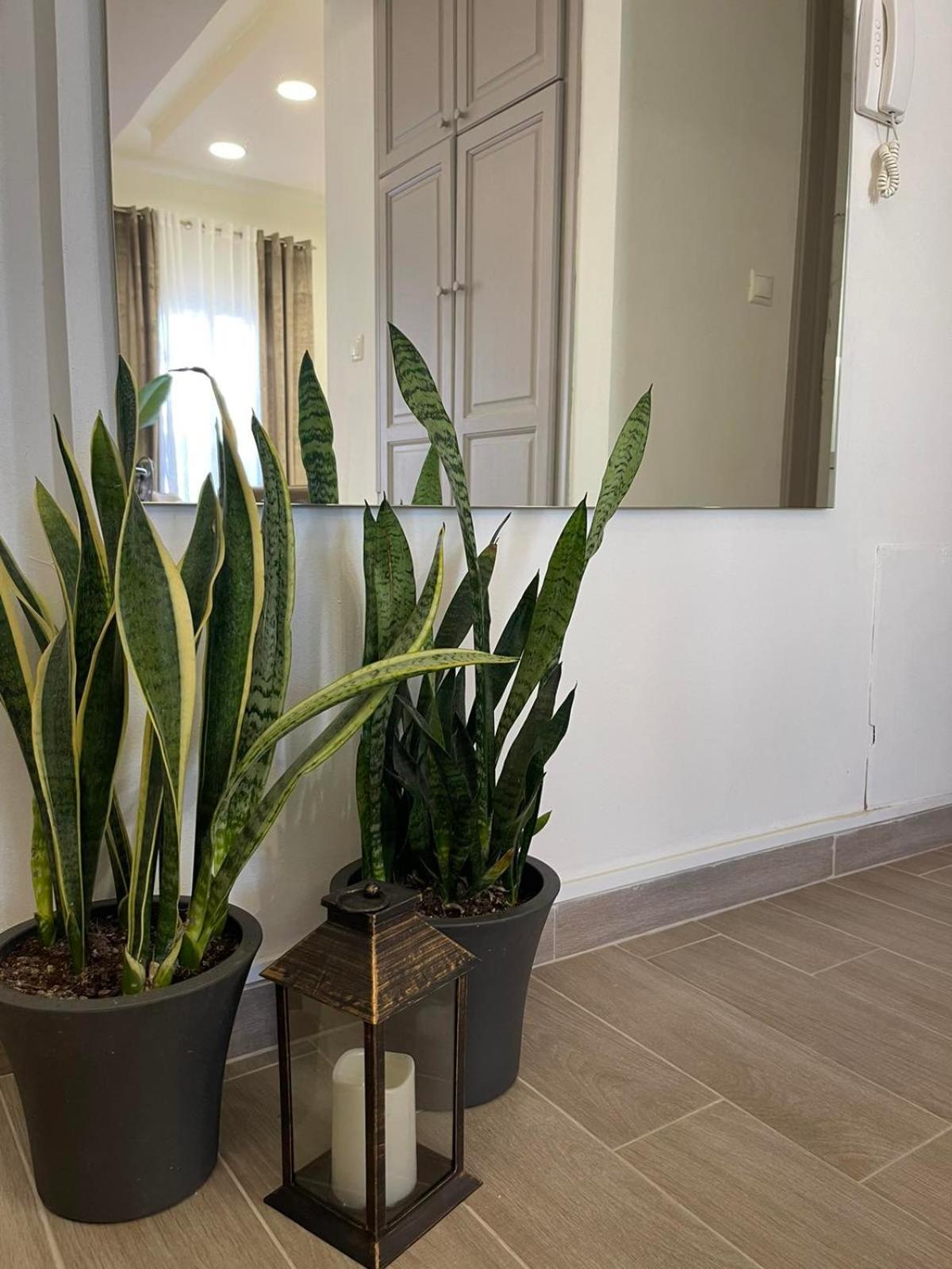 Apartamento Andromachi 2 Volos Exterior foto